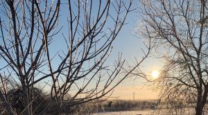 Read more about the article Winter Storm Warning Brings Hazardous Travel Conditions to Central Texas – AustinTexas.gov