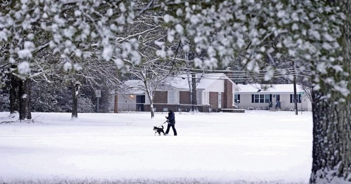 You are currently viewing Airport delays, travel warnings as southern U.S. storm maintains icy grip – Global News Toronto