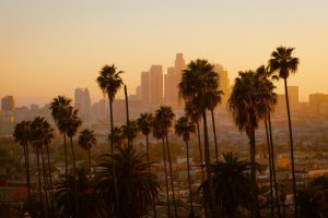 Read more about the article Travel industry news – Los Angeles fires: Tourism chiefs hail 'outpouring of support' from travel trade – TTG