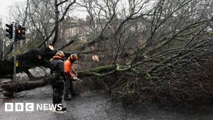 Read more about the article Scotland travel shuts down and thousands without power as Storm Éowyn arrives – BBC.com