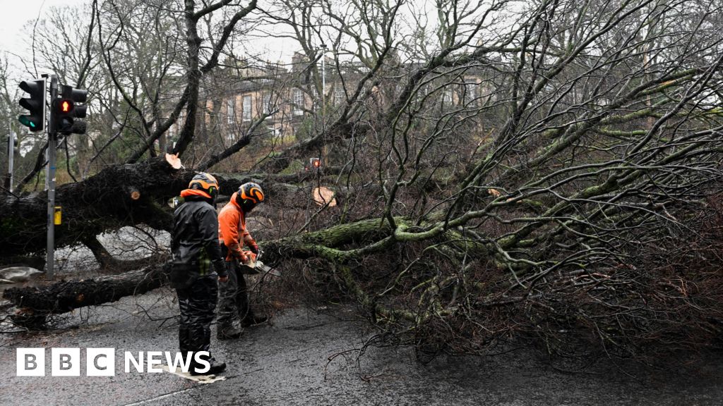 You are currently viewing Scotland travel shuts down and thousands without power as Storm Éowyn arrives – BBC.com