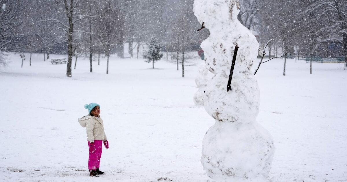 You are currently viewing Powerful winter storm in the South continues to disrupt air travel – Los Angeles Times