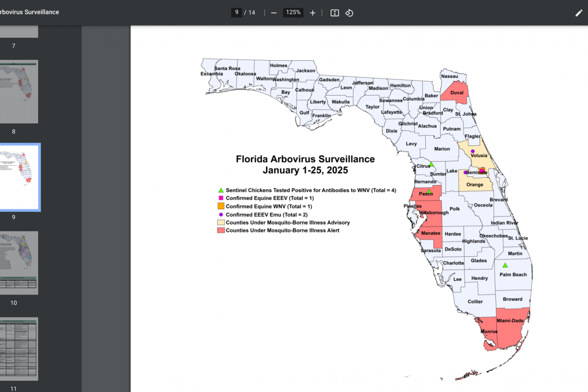 You are currently viewing Southeast Florida's Dengue Outbreak Continues in 2025 – Vax-Before-Travel