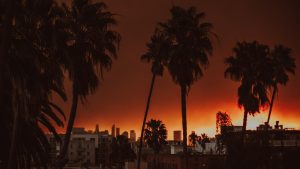 Read more about the article Should I Cancel My Trip to Los Angeles? – Condé Nast Traveler