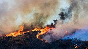 Read more about the article Los Angeles open for visitors as wildfires’ recovery progresses – Travel And Tour World