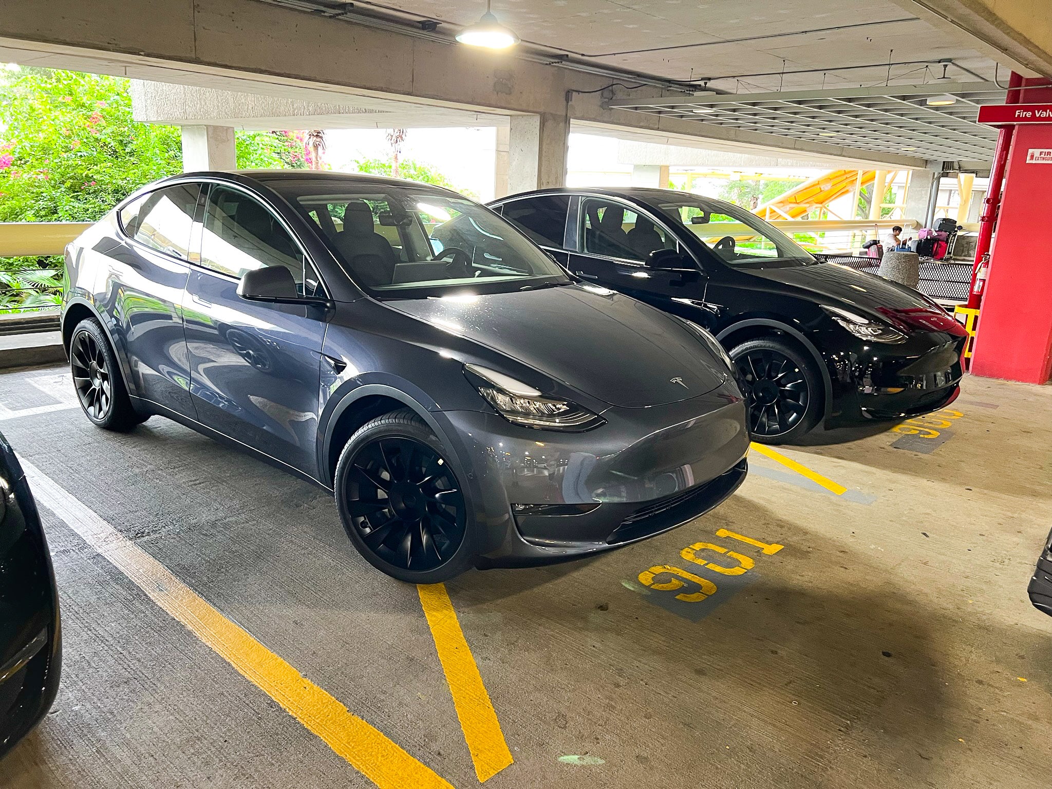 You are currently viewing My Experience Renting a Tesla Model Y From Hertz – Upgraded Points