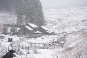 Read more about the article UK weather live: Freezing rain to turn to snow across England as Met Office urges travel caution – The Independent