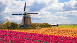 Read more about the article The Netherlands’ government proposes aviation tax increase by 2027 – Travel And Tour World