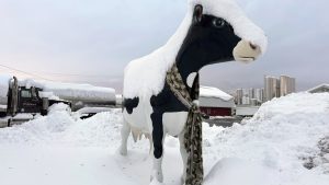 Read more about the article Lake-effect snow blankets the Great Lakes as Thanksgiving travelers head home – The Associated Press