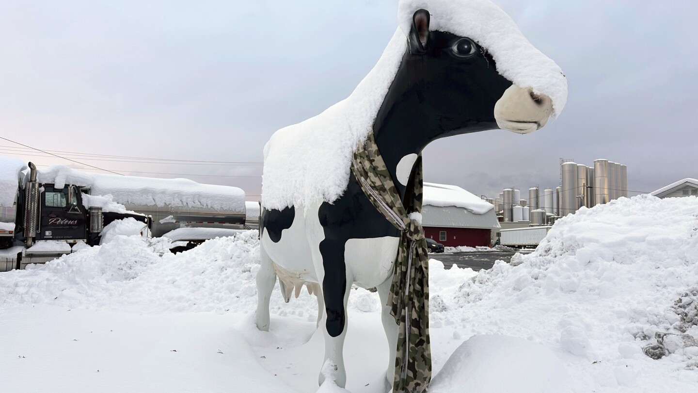 You are currently viewing Lake-effect snow blankets the Great Lakes as Thanksgiving travelers head home – The Associated Press