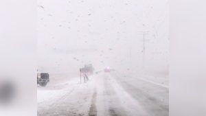 Read more about the article Western Minnesota weather: Snow and wind hit, making travel difficult – FOX 9 Minneapolis-St. Paul