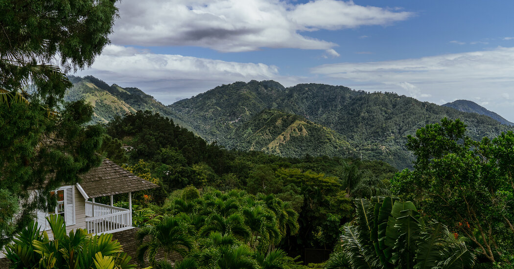 You are currently viewing Where to Eat, Sleep and Shop in Kingston, Jamaica – The New York Times