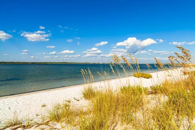 You are currently viewing Florida Beach Tops Tripadvisor's 2025 Rankings Of U.S.'s Best Beaches – NewsBreak