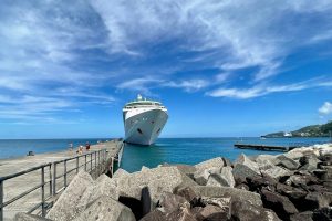 Read more about the article Royal Caribbean Faces Hefty EPA Fine For Waste Reporting Violations – Travel Noire