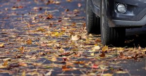Read more about the article Heavy rain hits Wollongong; man found dead as mid-north coast flooding continues – Illawarra Mercury