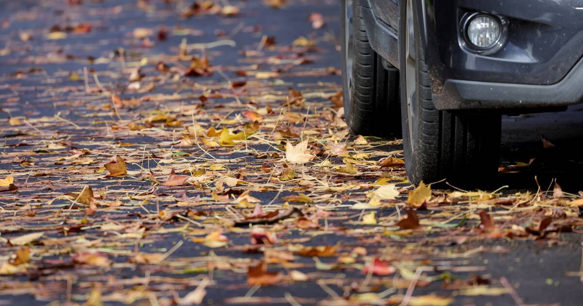 You are currently viewing Heavy rain hits Wollongong; man found dead as mid-north coast flooding continues – Illawarra Mercury