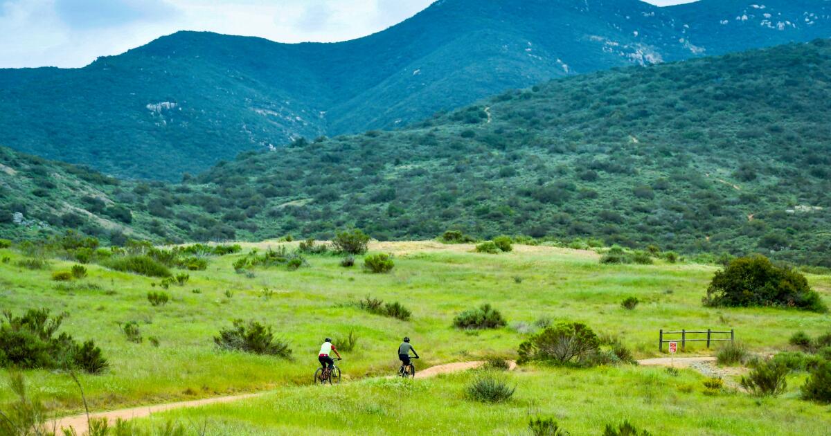 You are currently viewing Why you should visit California’s largest city park right now (no, not Griffith) – Los Angeles Times