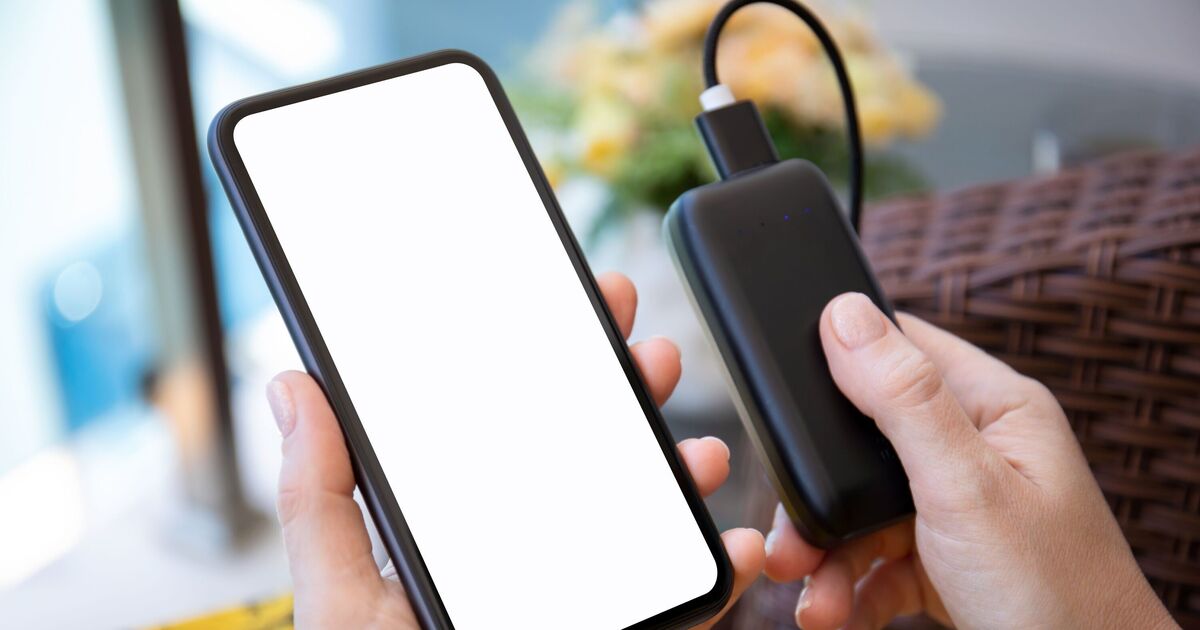 Read more about the article Important advice issued to anyone that travels with portable charger – Daily Express