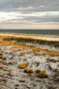 Read more about the article Plan your summer vacation to Destin-Fort Walton Beach, Florida – Lonely Planet