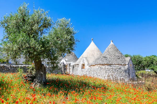 You are currently viewing 12 things you need to know before traveling to Puglia, Italy – Lonely Planet