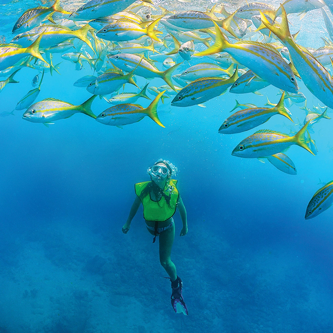 You are currently viewing An Eco Traveler’s Guide to The Florida Keys & Key West – Flamingo Magazine