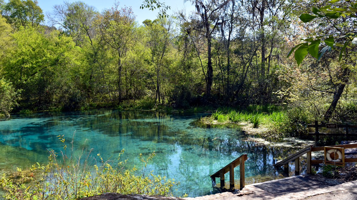 You are currently viewing Escape the Heat: The Ultimate Central Florida Springs Road Trip – Yahoo