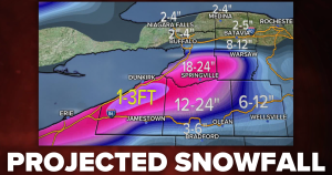 Read more about the article Lake Effect Snow Warning issued for Western New York Thanksgiving weekend – WKBW