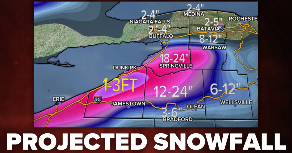 You are currently viewing Lake Effect Snow Warning issued for Western New York Thanksgiving weekend – WKBW