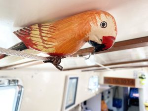 Read more about the article Soddy-Daisy couple live aboard a sailboat and island-hop through the Caribbean and Florida Keys – Chattanooga Times Free Press