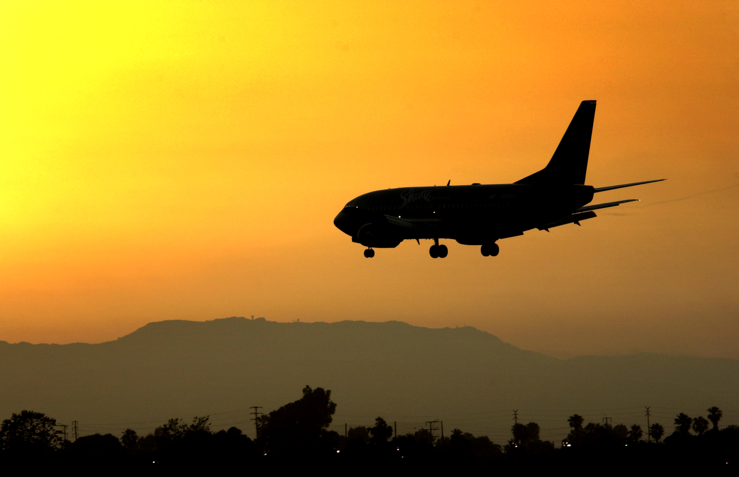 You are currently viewing United Airlines flight bound for LAX returns to Honolulu due to ‘security issue' – NBC Los Angeles