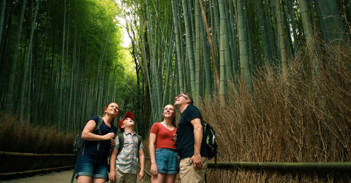 You are currently viewing The cheapest and safest places to travel with kids in 2025 – 9Travel