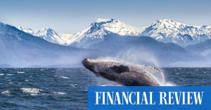 Read more about the article Grizzlies and ‘glaceritas’, this Alaskan cruise has it all – AFR