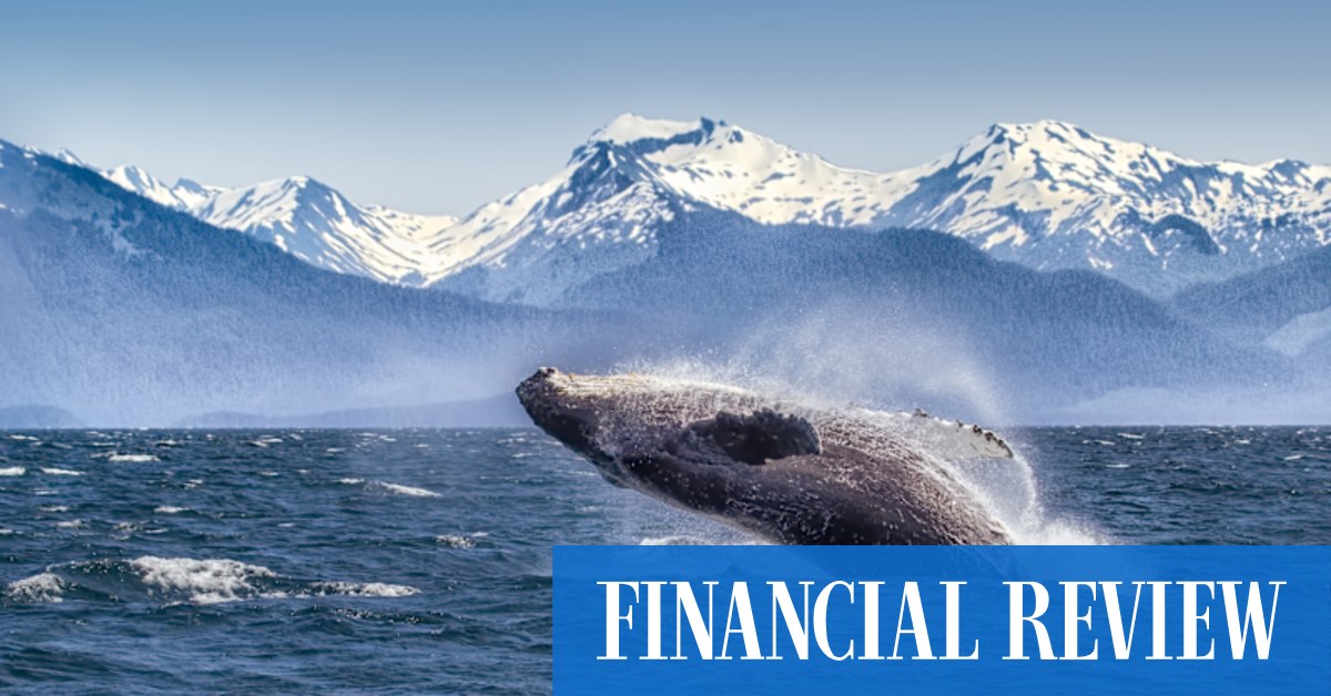 You are currently viewing Grizzlies and ‘glaceritas’, this Alaskan cruise has it all – AFR