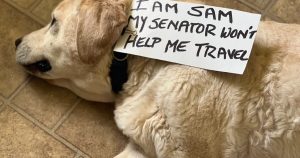 Read more about the article 'It's unfair': Dog owners push to delay CDC border regulations for dogs – WKBW