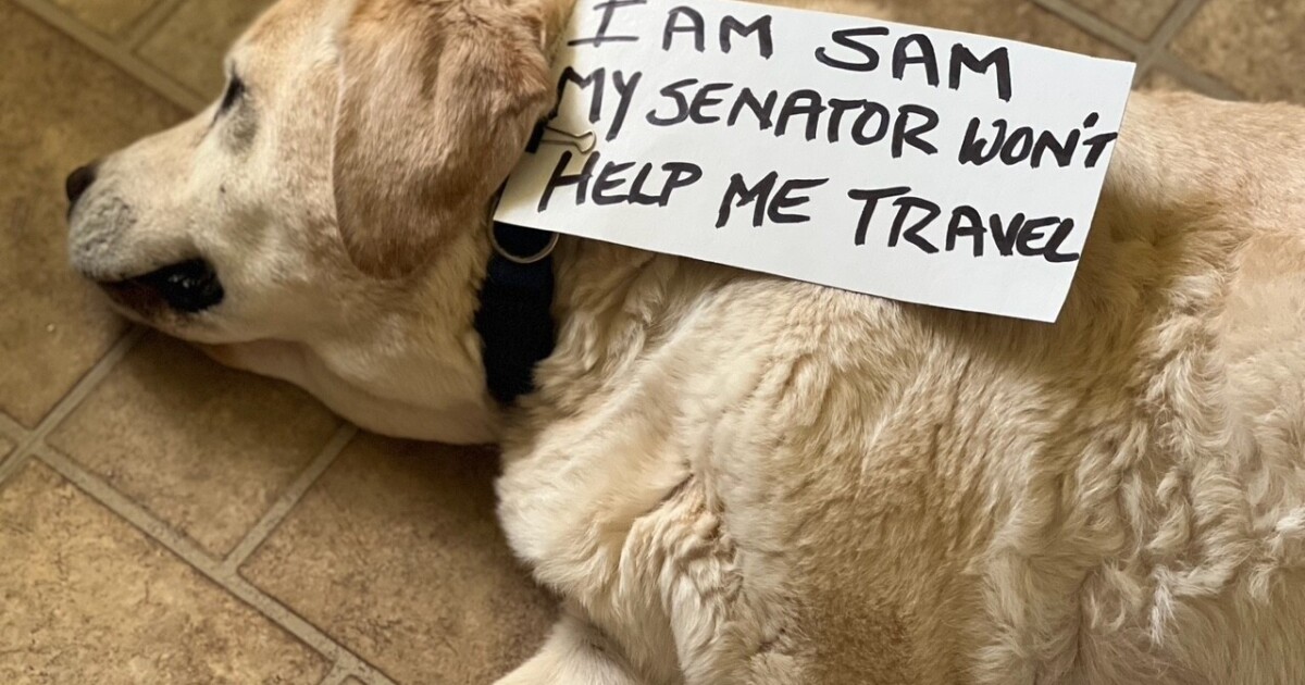 You are currently viewing 'It's unfair': Dog owners push to delay CDC border regulations for dogs – WKBW