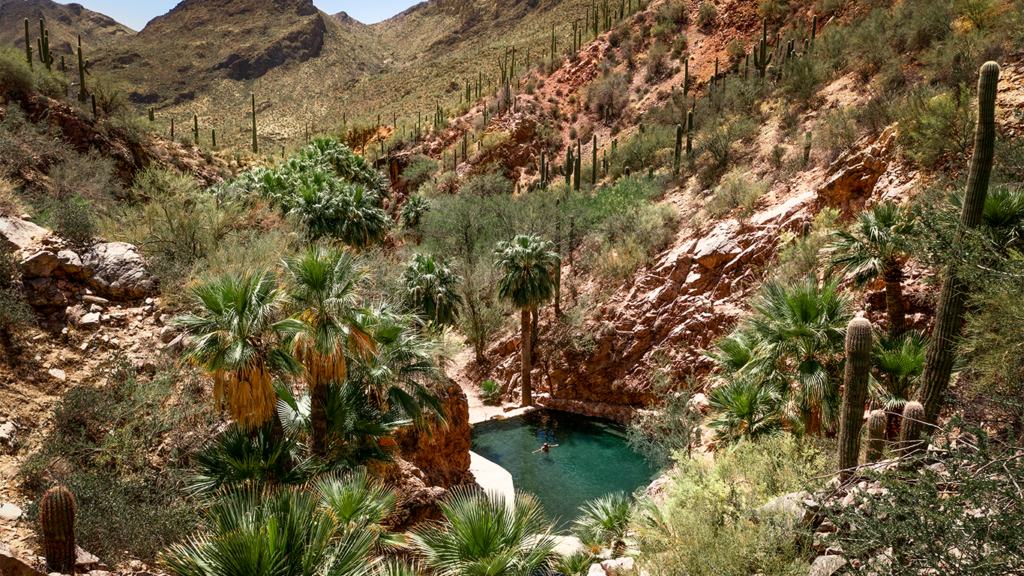You are currently viewing 10 best resorts in Arizona for 2025, according to Travel + Leisure