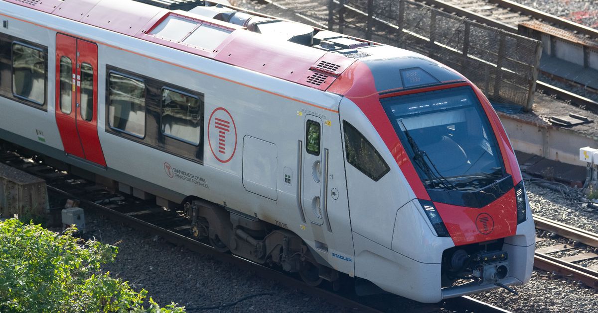 You are currently viewing Significant disruption continues as trains cancelled after heat causes 'track defect' – Wales Online