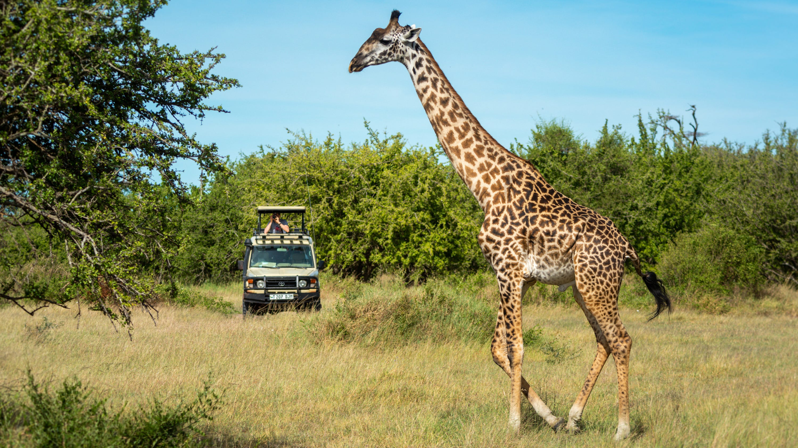 You are currently viewing Key takeaways from Travel + Leisure's 2025 World's Best Awards