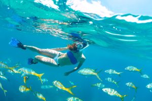 Read more about the article STATE LEGISLATURE SAVES TOURISM AGENCIES — FOR NOW – Keys Weekly Newspapers