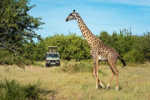 Read more about the article Key takeaways from Travel + Leisure’s 2025 World’s Best Awards