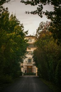 Read more about the article The Insider’s Guide to Bologna, Italy – W Magazine