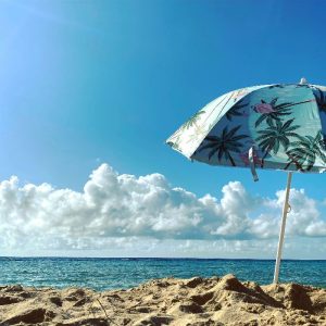 Read more about the article Pre-vacation jitters – The Houston 100