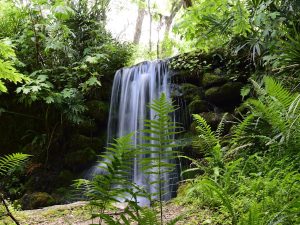 Read more about the article I've lived in Florida for over 25 years. Skip the major cities and spend time in these 5 gorgeous state parks instead. – AOL.com