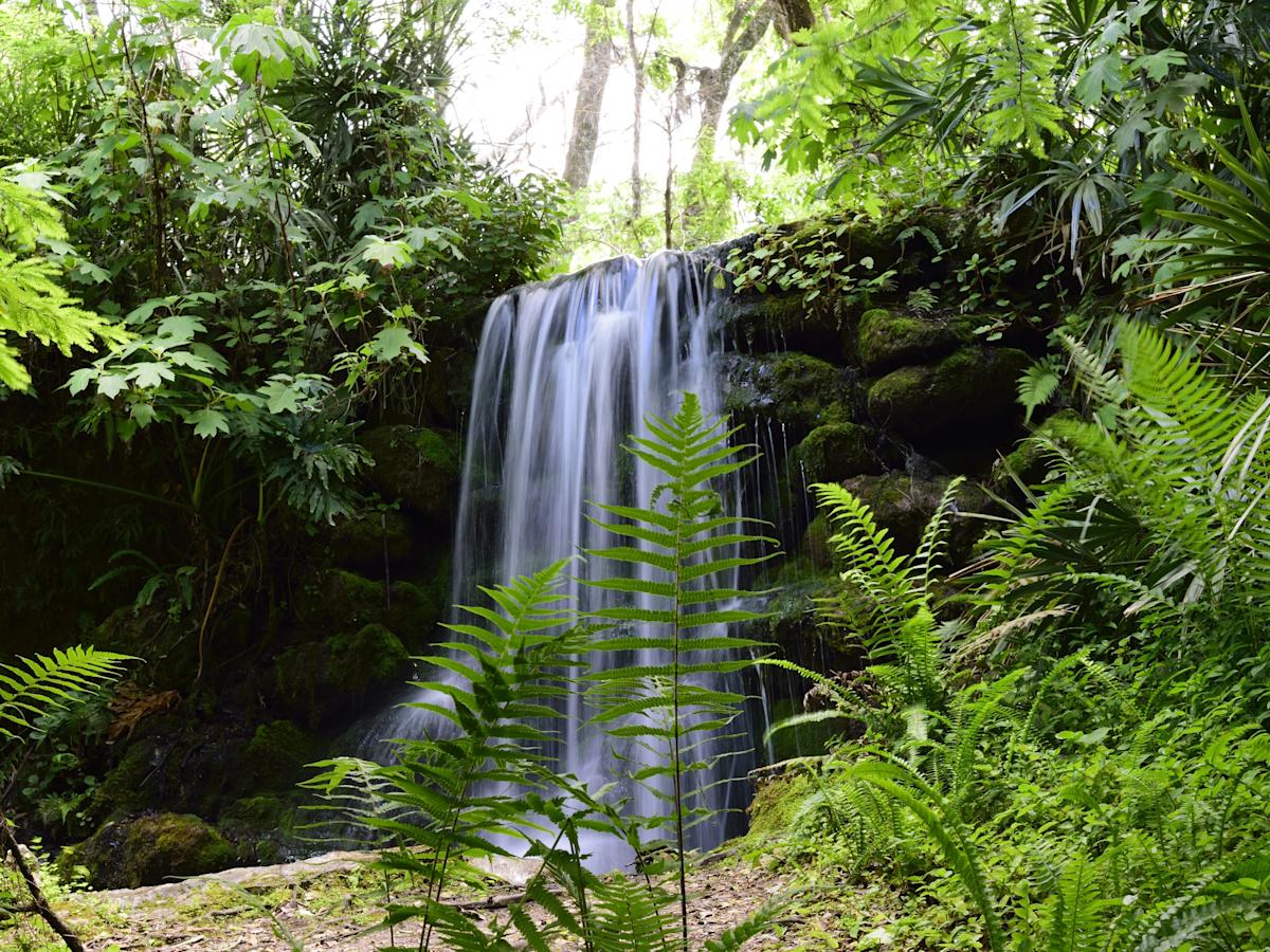 You are currently viewing I've lived in Florida for over 25 years. Skip the major cities and spend time in these 5 gorgeous state parks instead. – AOL.com