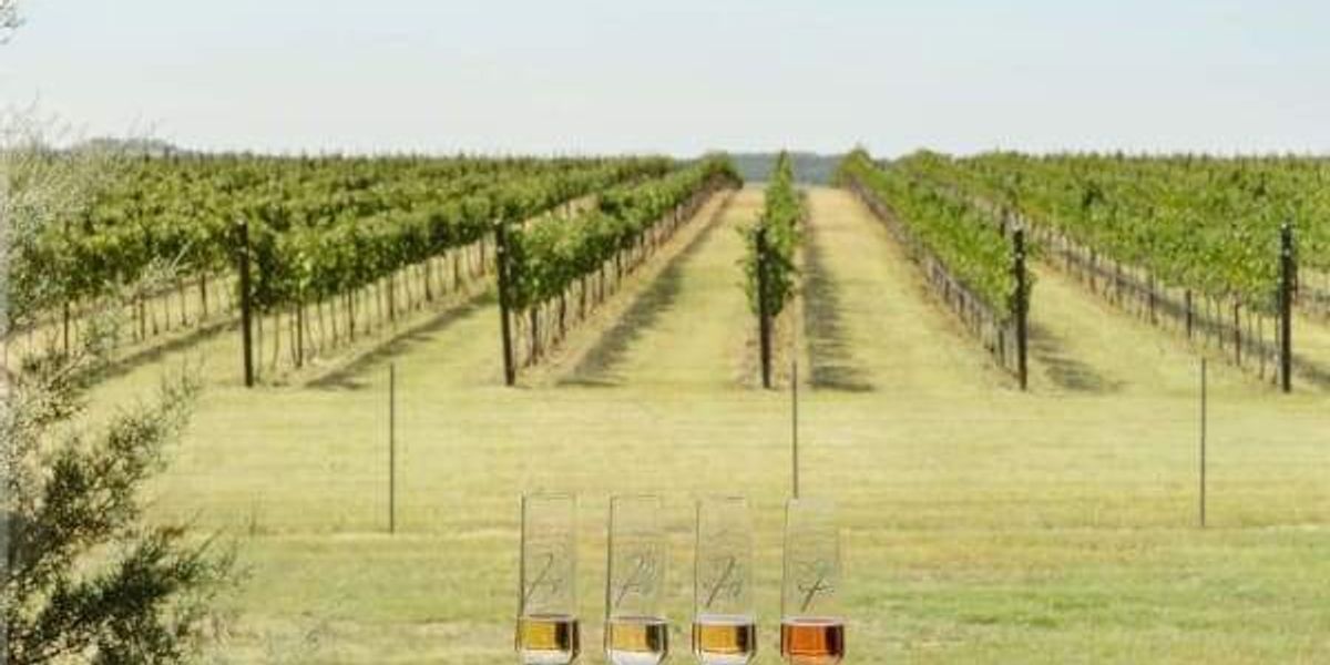 You are currently viewing 11 top Texas travel ideas before going back to school this August – CultureMap Houston