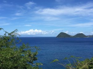 Read more about the article Caribbean Airlines Just Started Nonstop Service Between Puerto Rico and Dominica – Caribbean Journal