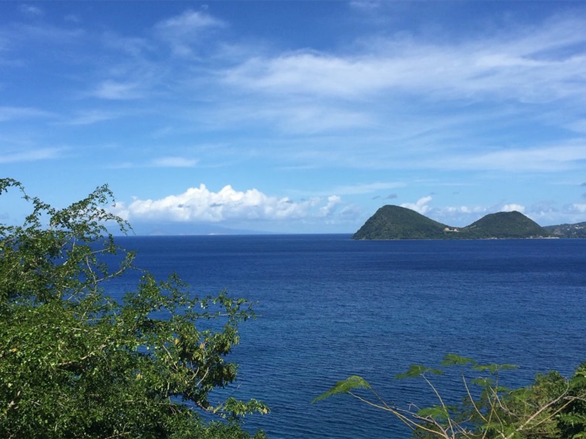 Read more about the article Caribbean Airlines Just Started Nonstop Service Between Puerto Rico and Dominica – Caribbean Journal