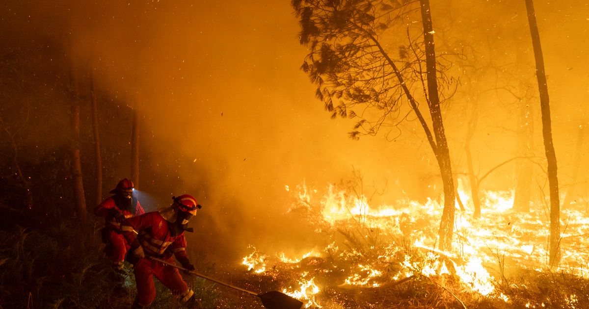 Read more about the article Spain wildfires LIVE: Foreign Office's new advice amid 'very high' fire threat – The Mirror