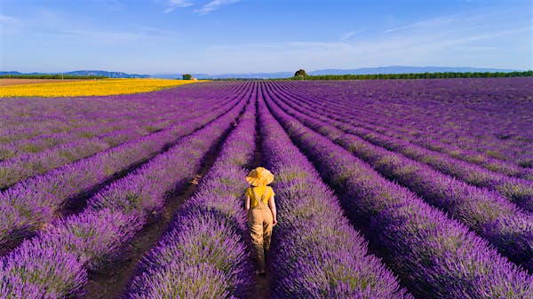 Read more about the article France travel – Lonely Planet