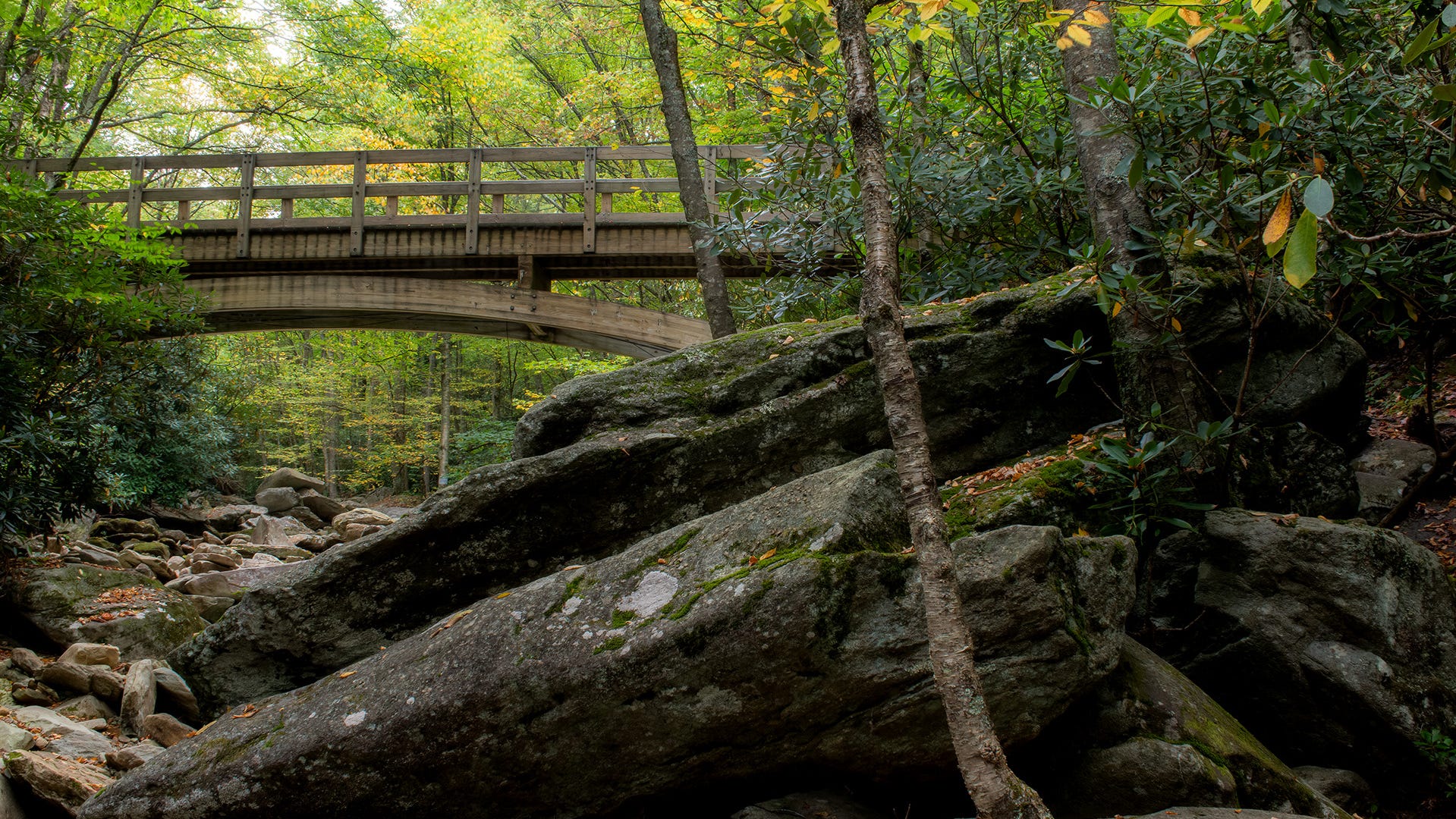 Read more about the article Western NC town named one of US's 'Best Small Towns' of 2025 by Travel + Leisure. See why